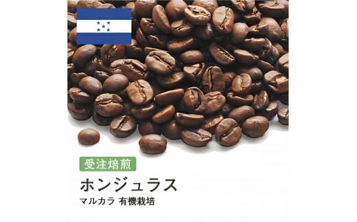 コーヒー豆 #189 ホンジュラス マルカラ 有機栽培 オーガニック 受注焙煎！310g 珈琲豆 コーヒー豆 自家焙煎 1568617 - 大阪府大東市