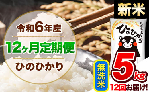 【12ヶ月定期便】令和6年産 新米 定期便 無洗米 ひのひかり 5kg 《申込み翌月から発送》令和6年産 熊本県産 ふるさと納税 精米 ひの 米 こめ ふるさとのうぜい ヒノヒカリ コメ 熊本米 ひのもり 1568948 - 熊本県玉東町