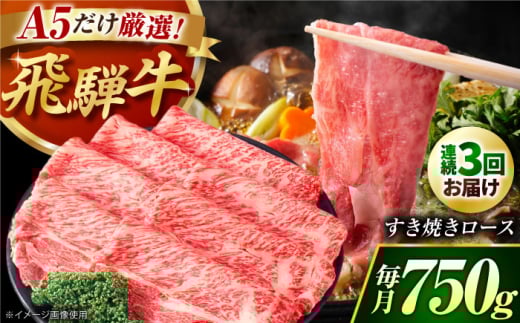 【3回定期】 A5等級 特選飛騨牛すきやき用(ロース750g)　/ 飛騨牛 ブランド牛 A5 すき焼き すきやき すき焼き用牛肉 肉 すき焼き肉 牛肉 ロース 鍋 A5ランク 定期便 / 御嵩町 / 肉のキング [AVAG005] 1568093 - 岐阜県御嵩町