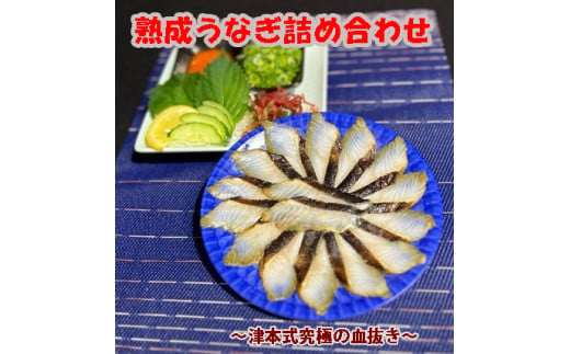 113009　熟成うなぎ詰め合わせ　うなぎ  鰻　刺身　うなぎのたたき　藁焼き　津本式　津本式究極の血抜き　熟成   新鮮　高知県産  お取り寄せ  特産品  ご当地グルメ  冷凍 1607343 - 高知県奈半利町