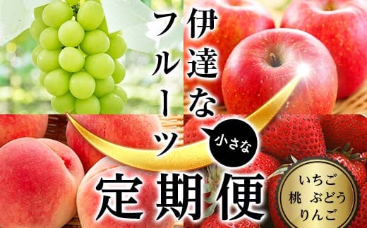 ＜2025年夏から開始の定期便＞伊達な小さなフル－ツ定期便（桃約1kg・ぶどう1房・りんご1㎏・いちご約500g）果物 フルーツ 桃 モモ 苺 イチゴ 葡萄 ブドウ 林檎 リンゴ 福島県 伊達市 F21C-021