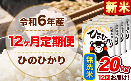 令和6年産新米 【12ヵ月定期便】 無洗米 ひのひかり 定期便 20kg 5kg×4袋《お申込み翌月から出荷開始》 熊本県産 精米 ひの 米 こめ ヒノヒカリ コメ お米