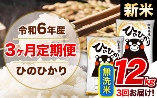 【3ヶ月定期便】令和6年産 新米 定期便 無洗米 ひのひかり 12kg 《申込み翌月から発送》令和6年産 熊本県産 ふるさと納税 精米 ひの 米 こめ ふるさとのうぜい ヒノヒカリ コメ 熊本米 ひのもり 1569008 - 熊本県玉東町