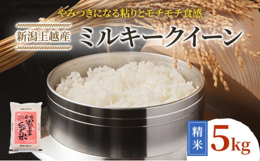 【令和6年産】新潟上越産ミルキークイーン 5kg｜ミルキークイーン 米 こしひかり こめ おすすめ 新潟 新潟県産 にいがた 上越 上越産 1044972 - 新潟県上越市