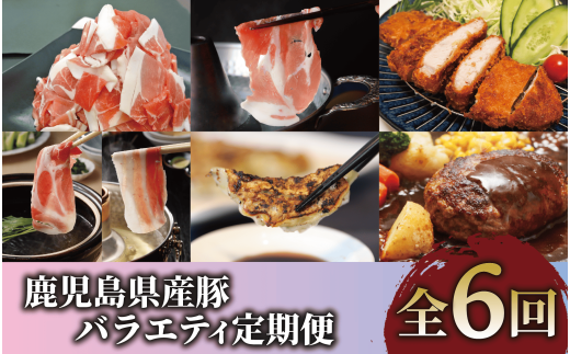 【全６回定期便】鹿児島県産豚バラエティ定期便(Z065-1726) 豚 黒豚 肉 豚肉 鹿児島県産 国産 鹿児島産 ハンバーグ しゃぶしゃぶ 鍋 とんかつ ロース 切り落とし 餃子 中華 惣菜 総菜 冷凍 スライス 頒布会 定期