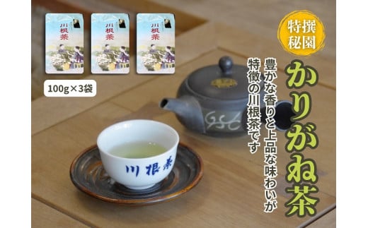 11-64 豊かな香り 上品な味わい「川根茶 特撰秘園かりがね」100g×3袋 985887 - 静岡県川根本町