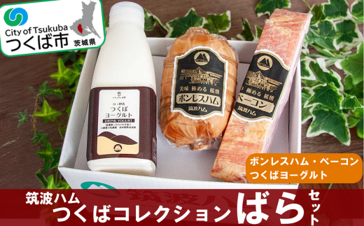 筑波ハム　つくばコレクション　ばらセット（ボンレスハム、ベーコン、つくばヨーグルト）【 豚肉 豚 ぶた肉 ポーク ハム はむ ベーコン ボンレスハム ヨーグルト 茨城県産 国産 つくば市 】 1612033 - 茨城県つくば市