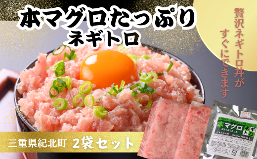 本マグロたっぷりネギトロ２袋(100ℊ×2)【KN21】