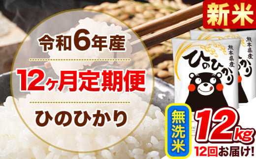 令和6年産新米 【12ヵ月定期便】 無洗米 ひのひかり 定期便 12kg 6kg×2袋《お申込み翌月から出荷開始》 熊本県産 精米 ひの 米 こめ ヒノヒカリ コメ お米 1582168 - 熊本県津奈木町