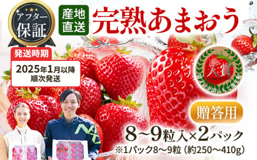 アフター保証 あまおう 8～9粒入り×2パック（先行受付／2025年1月以降順次発送予定）いちご 大粒 不揃い DX デラックス エクセレント 苺 イチゴ 福岡高級 フルーツ 土産 福岡県 433629 - 福岡県田川市