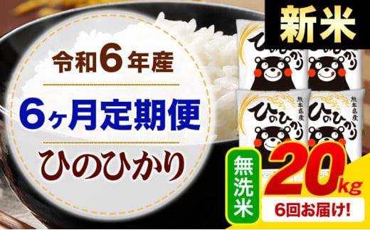 【6ヶ月定期便】令和6年産 新米 無洗米 早期先行予約受付中 ひのひかり 定期便 20kg《申込み翌月から発送》令和6年産 熊本県産 ふるさと納税 精米 ひの 米 こめ ふるさとのうぜい ヒノヒカリ コメ お米