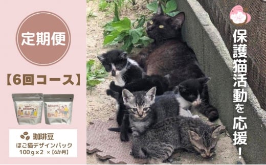 定期便 6回 コーヒー 保護猫活動を応援！ 珈琲豆 2種各100g×6カ月 珈琲