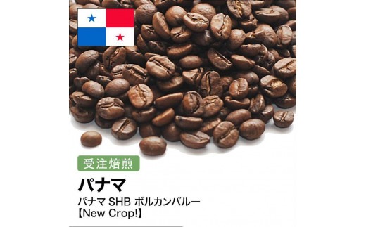 コーヒー豆 #267 パナマSHB ボルカンバルー 受注焙煎！310g 珈琲豆  自家焙煎