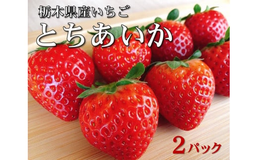 【数量限定】JAなすの産　産地直送いちご　とちあいか　1箱（290g×2パック）【栃木県共通返礼品】 1565401 - 栃木県大田原市