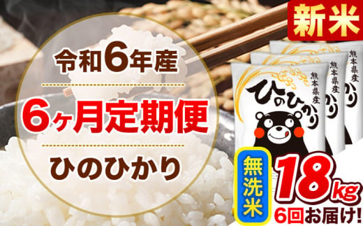 令和6年産新米 【6ヵ月定期便】 無洗米 ひのひかり 定期便 18kg 6kg×3袋《お申込み翌月から出荷開始》 熊本県産 精米 ひの 米 こめ ヒノヒカリ コメ お米