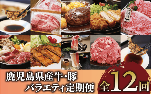 【全１２回定期便】鹿児島県産牛・豚バラエティ定期便(Z180-1727) 牛 牛肉 豚 豚肉 肉 鹿児島県産 国産 鹿児島産 黒牛 茶美豚 黒豚 餃子 しゃぶしゃぶ すき焼き すきやき すき焼 総菜 惣菜 冷凍 黒毛和牛 ステーキ ハンバーグ スライス 切り落とし 切り落し 切落し 頒布会 セット 定期