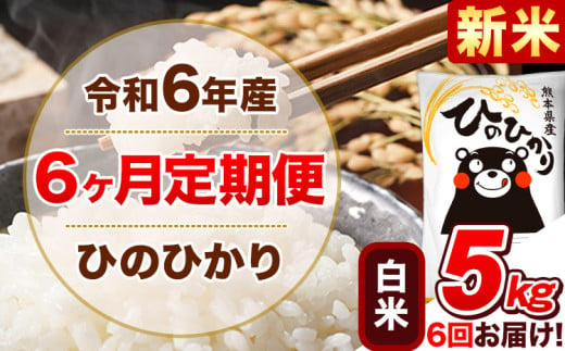 令和6年産新米 【6ヵ月定期便】 白米 ひのひかり 定期便 5kg 5kg×1袋《お申込み翌月から出荷開始》 熊本県産 精米 ひの 米 こめ ヒノヒカリ コメ お米 1582155 - 熊本県津奈木町