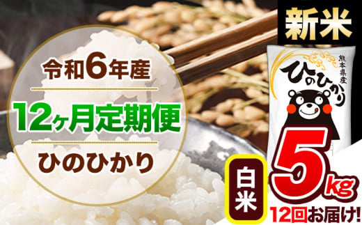 【12ヶ月定期便】令和6年産 新米 定期便 ひのひかり 5kg 《申込み翌月から発送》令和6年産 熊本県産 ふるさと納税 白米 精米 ひの 米 こめ ふるさとのうぜい ヒノヒカリ コメ 熊本米 ひのもり 1568946 - 熊本県玉東町