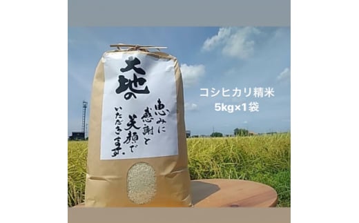 ＜令和6年度＞三重県産コシヒカリ　精米5kg【1537666】 1570252 - 三重県木曽岬町