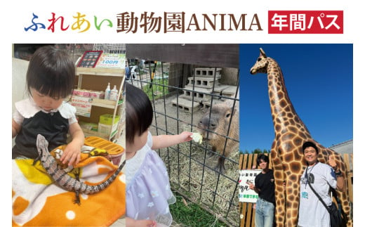 ふれあい動物園ANIMA 年間パス【動物 どうぶつ 動物園 チケット 年間パスポート 阿見町 茨城県】（61-01） 