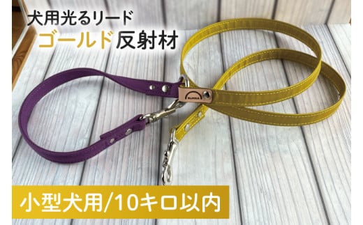 【小型犬用10キロまで】光るリード　ゴールド反射材【散歩 愛犬 夜散歩 手作り 阿見町 茨城県】（40-29）