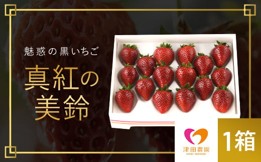 【2025年2月から順次発送】 魅惑の黒いちご「真紅の美鈴」1箱 ふるさと納税 いちごイチゴ 苺 真紅の美鈴 黒いちご 黒イチゴ しんくのみすず 甘い 完熟 魅惑 赤 深紅 ワイン色 朝収穫 新鮮 美味しい 贈答 ギフト お取り寄せ 千葉県 富里市 TME001 1895706 - 千葉県富里市