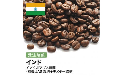 コーヒー豆 #260 インド ポアブス農園(有機JAS栽培＋デメター認証) 受注焙煎！310g 珈琲豆  自家焙煎 1568640 - 大阪府大東市