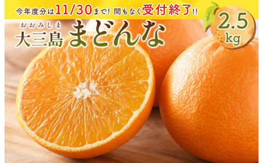 【先行予約】ホリ田ヤ大三島まどんな2.5キロ [KB00810] 【2024年12月15日より順次発送】【2024年12月20日以降のお申込については2025年1月9日以降の発送になります】 550969 - 愛媛県今治市