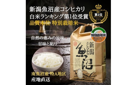 令和6年度産 新潟県南魚沼産コシヒカリ 特別栽培米 白米 6kg