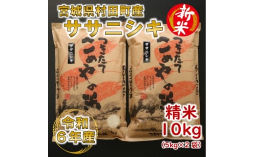 ＜新米＞令和6年産 ササニシキ 精米10kg(5kg×2) 宮城県村田町産【1217474】