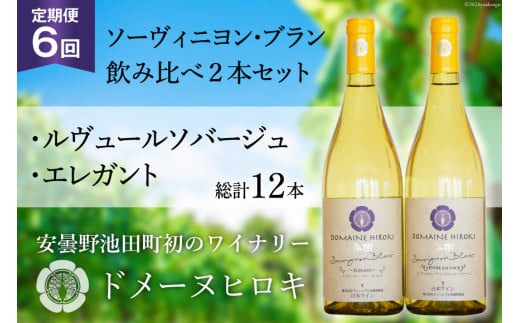 【6回 定期便 】白 ワイン ソーヴィニヨン・ブラン 2種 飲み比べ 750ml×2本 [ヴィニョブル安曇野 DOMAINE HIROKI 長野県 池田町 48110703] 白ワイン セット お酒 酒 552911 - 長野県池田町