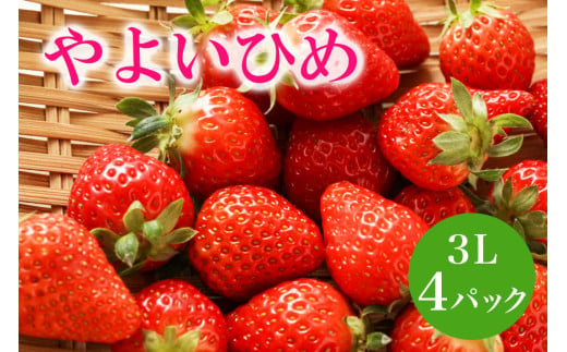 やよいひめ 3L いちご イチゴ 苺 13粒 4パック 1kg 以上 国産 果物 フルーツ くだもの 1月 2月 3月 発送 冬 旬 産地直送 農家直送 産直 甘い デザート スイーツ 家庭用 贈答 贈答用 茨城 茨城県 石岡市 (A13-005) 1569329 - 茨城県石岡市