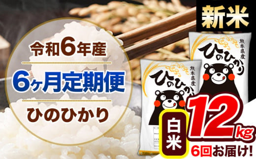 【6ヶ月定期便】令和6年産 新米 定期便 ひのひかり 12kg 《申込み翌月から発送》令和6年産 熊本県産 ふるさと納税 白米 精米 ひの 米 こめ ふるさとのうぜい ヒノヒカリ コメ 熊本米 ひのもり 1569009 - 熊本県玉東町