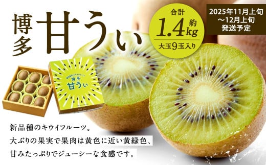 福岡県産 博多甘うぃ 約1.4kg（大玉9玉入り）【2025年11月上旬～12月上旬発送予定】キウイ キウイフルーツ フルーツ 果物 くだもの