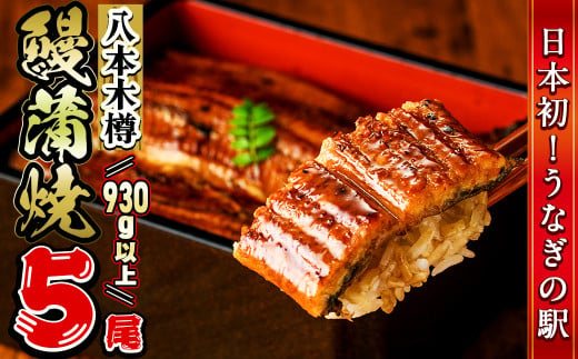 【数量限定】特大! 国産 八本木樽鰻の蒲焼(186g以上×5尾)　うなぎ 鰻 ウナギ 5尾 国産 九州産 蒲焼き かばやき 冷凍 うな丼 うな重 ひつまぶし タレ 山椒 ランキング 人気 c0-104 430353 - 鹿児島県志布志市