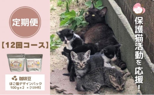 定期便 12回 コーヒー 保護猫活動を応援！ 珈琲豆 2種各100g×12カ月 珈琲