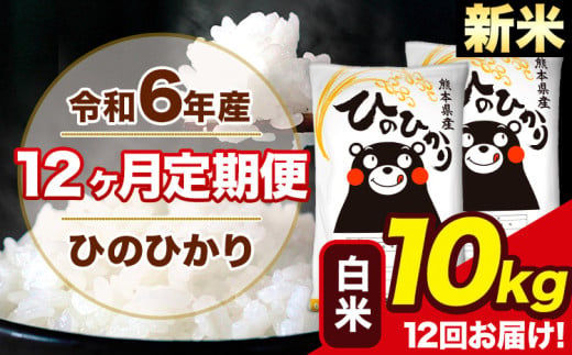 令和6年産 新米 【12ヶ月定期便】ひのひかり 白米 10kg 5kg×2袋 計12回お届け 熊本県産 こめ コメ 白米 精米 荒尾市 ひの 米 定期 《お申込み月の翌月から出荷開始》 1214211 - 熊本県荒尾市