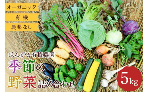 オーガニック 有機 農薬なし ぽんがる有機農園 季節の野菜 詰め合わせ 5kg 356806 - 茨城県笠間市