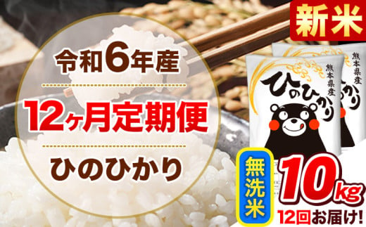 令和6年産新米 【12ヵ月定期便】 無洗米 ひのひかり 定期便 10kg 5kg×2袋《お申込み翌月から出荷開始》 熊本県産 精米 ひの 米 こめ ヒノヒカリ コメ お米 1582161 - 熊本県津奈木町