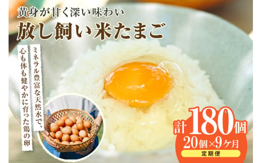 【９か月定期便】放し飼い米たまご15個+5個保証（計20個） 1511575 - 愛知県常滑市