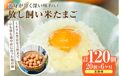 【６か月定期便】放し飼い米たまご15個+5個保証（計20個） 1511573 - 愛知県常滑市