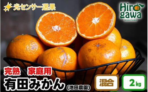 家庭用 完熟 有田みかん 2kg+60g（痛み補償分）【 わけあり・訳あり 】【 光センサー選果 】＜11月中旬～翌年1月下旬ごろに順次発送予定＞ ※北海道・沖縄・離島への配送不可 / 和歌山 蜜柑 ミカン フルーツ 果物 旬 柑橘 秋【ikd004-kan-c-2】 1529934 - 和歌山県広川町