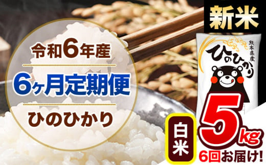 【6ヶ月定期便】令和6年産 新米 定期便 ひのひかり 5kg 《申込み翌月から発送》令和6年産 熊本県産 ふるさと納税 白米 精米 ひの 米 こめ ふるさとのうぜい ヒノヒカリ コメ 熊本米 ひのもり 1568872 - 熊本県玉東町