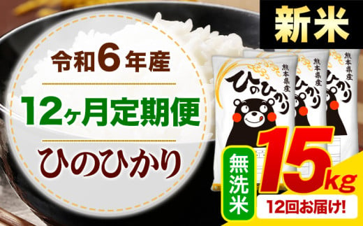 【12ヶ月定期便】令和6年産 新米 無洗米 早期先行予約受付中 ひのひかり 定期便 15kg《申込み翌月から発送》令和6年産 熊本県産 ふるさと納税 精米 ひの 米 こめ ふるさとのうぜい ヒノヒカリ コメ お米