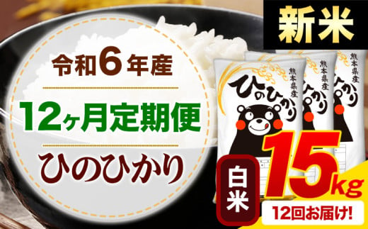 【12ヶ月定期便】令和6年産 新米 白米 早期先行予約受付中 ひのひかり 定期便 15kg《申込み翌月から発送》令和6年産 熊本県産 ふるさと納税 精米 ひの 米 こめ ふるさとのうぜい ヒノヒカリ コメ お米