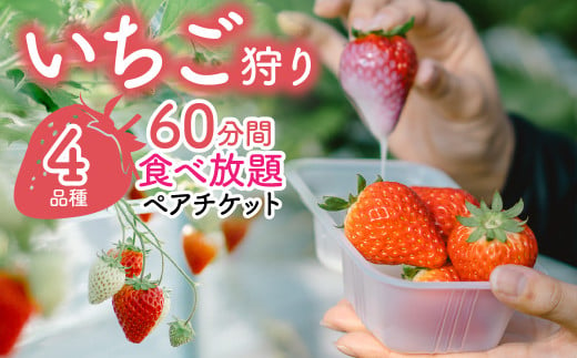 【いちご狩りペアチケット】4品種60分間いちご食べ放題 ALPAS006