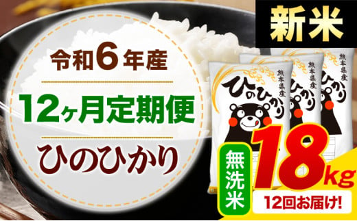 【12ヶ月定期便】令和6年産 新米 無洗米 早期先行予約受付中 ひのひかり 定期便 18kg《申込み翌月から発送》令和6年産 熊本県産 ふるさと納税 精米 ひの 米 こめ ふるさとのうぜい ヒノヒカリ コメ お米