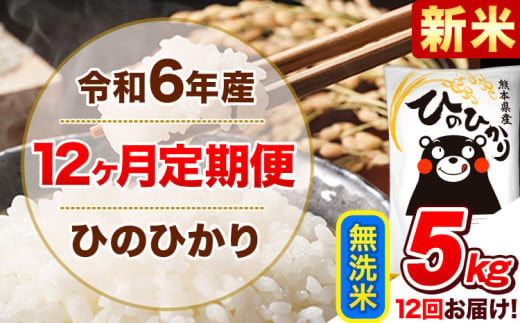 令和6年産新米 【12ヵ月定期便】 無洗米 ひのひかり 定期便 5kg 5kg×1袋《お申込み翌月から出荷開始》 熊本県産 精米 ひの 米 こめ ヒノヒカリ コメ お米 1582156 - 熊本県津奈木町