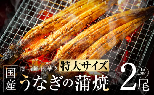 超ビッグサイズ！数量限定！老舗【五郎藤】 関西風地焼き 国産有頭旨鰻 250g×2尾 特大 うなぎ ウナギ 蒲焼き 炭火 -  大阪府泉佐野市｜ふるさとチョイス - ふるさと納税サイト