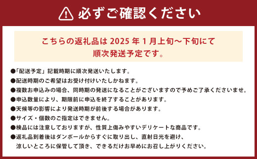 愛果28号 （愛媛果試第28号） 2kg 果物 くだもの フルーツ ミカン みかん かんきつ 柑橘 国産 常温 （346）
